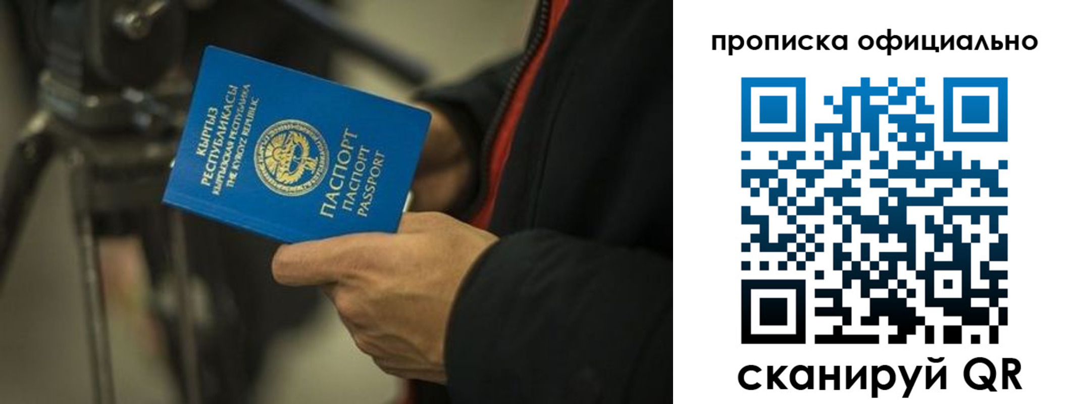прописка в Чудово